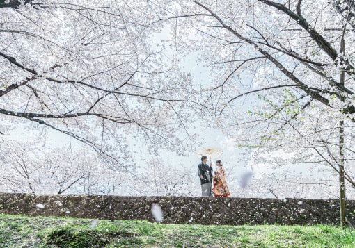 桜吹雪の中に立つ新郎・新婦